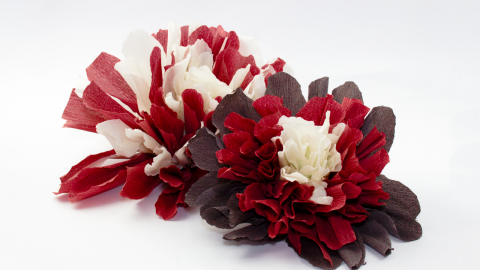  DIY Crepe Paper Flowers 