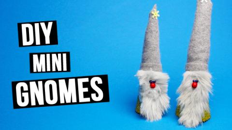  DIY Mini Gnomes Tutorial 