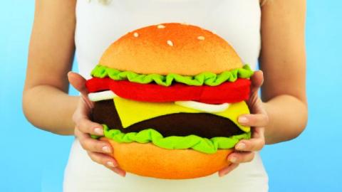  DIY Cheeseburger Pillow 